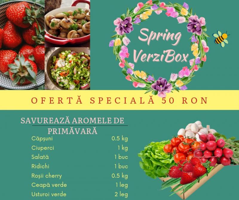 Spring VerziBox